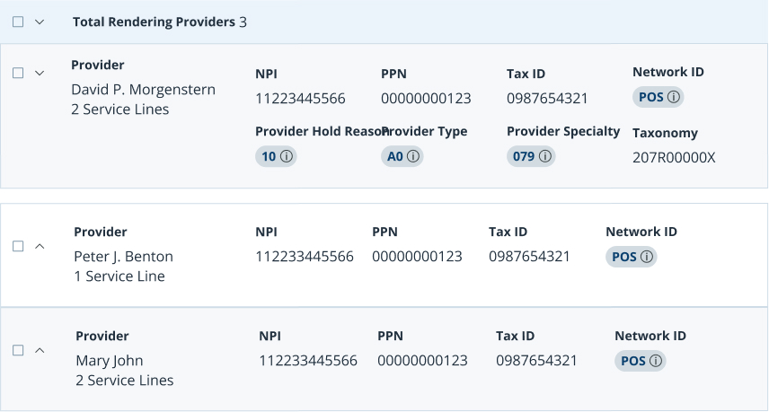 Total Rendering Providers — table rendered as expandable provider cards